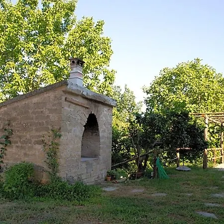 Il Moro Bianco