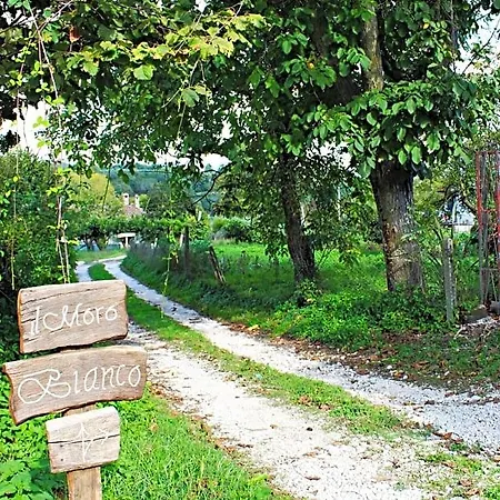 Oda ve Kahvaltı Il Moro Bianco 3*