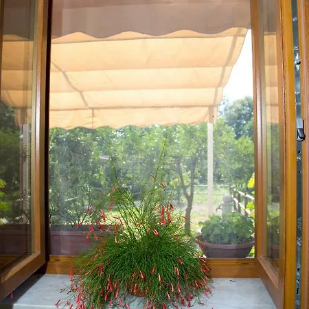 ベッド・アンド・ブレックファスト Il Moro Bianco