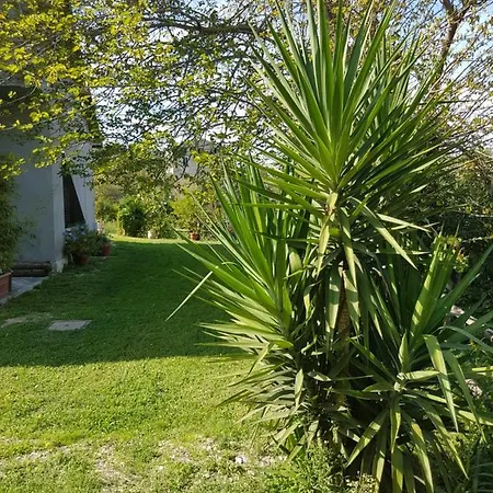 Il Moro Bianco 3*